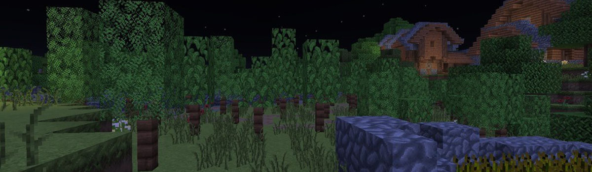 grace fortune resource pack 3 - Grace & Fortune 1.16.5 Resource Pack 1.15.2/1.14.4/1.13.2/1.12.2