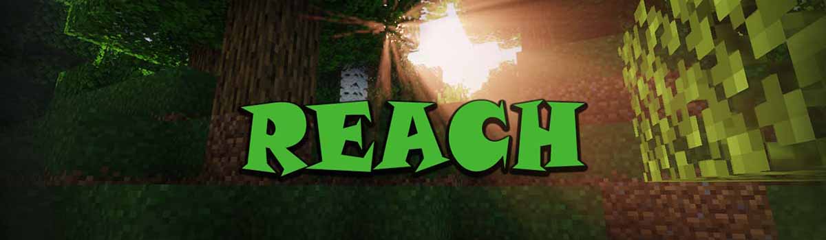 reach resource pack - Reach 1.17.1 Resource Pack 1.16.5/1.15.2 (Artistic Textures 16x)