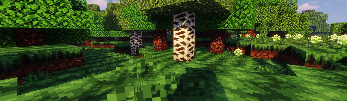 stylocraft resource pack 3 - StyloCraft 1.16.5 Resource Pack 1.15.2 (Retro Textures 16x)